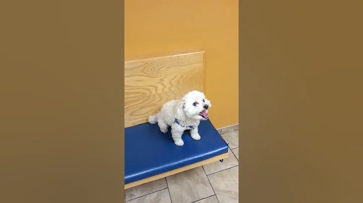 Cooper roll