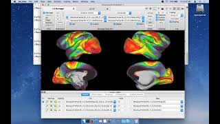 2. Wbview Surface View Basics