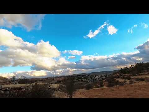 صيد طير السمن في لبنان   