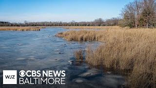 Star Spangled Stories: How Marylanders survived winter on the Chesapeake Bay