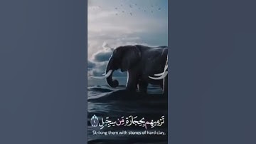 "ألم تر كيف فعل ربك بأصحاب الفيل"#ماهر_المعيقلي #تلاوة_هادئة #تريح_القلب ♥*#حالات_واتس_اب #لايك_اشتر