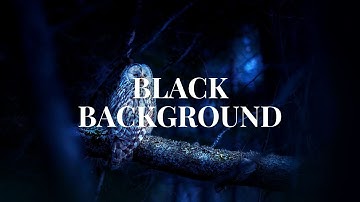 (10 HOURS) Beautiful Haunting Owl Calls - Owl Sound Effects, Hoots to Relax and Sleep BLACK SCREEN
