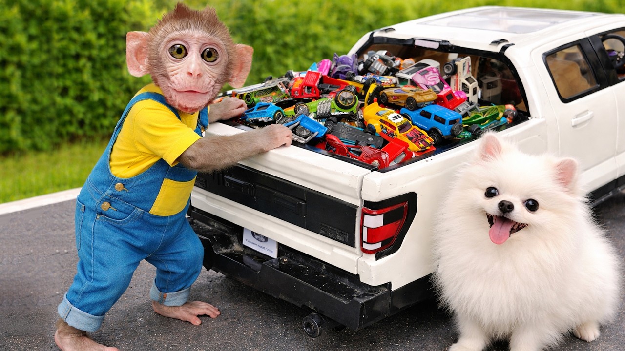 Unboxing COCOMELON Doctor Set, Pinkfong First Aid Toys & Ambulance Playset | Fun Review Toys