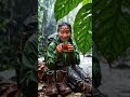 24 Hours Alone in the Rainforest 🌧️🔥