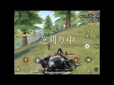【荒野行動】芝刈り機〆抜武 or αD Noob のキル＆ダウン集 part10 [SG.M4]