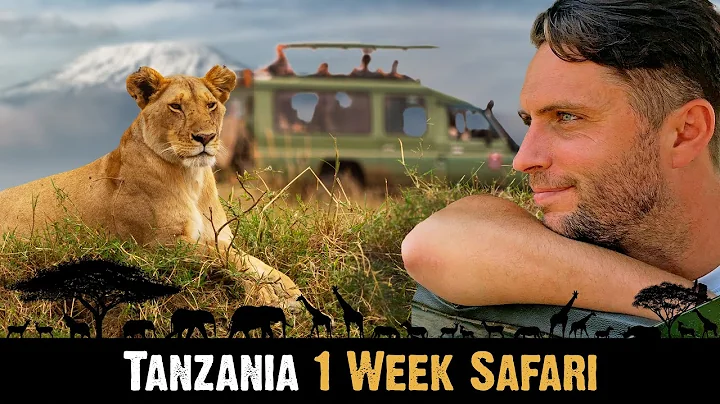 TANZANIA 🇹🇿 1 Week SAFARI | Serengeti, Zanzibar, Ngorongoro Crater thumbnail