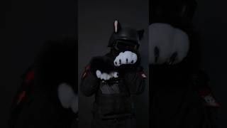 Furry Rubs Against Its Paws