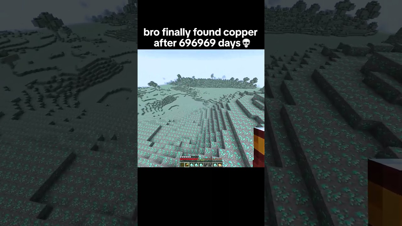 Minecraft Copper Ore Moment 💀