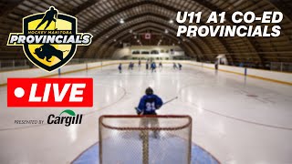 U11 A1 Provincial Hockey Championship - St.Claude, MB - Sunday, March 2nd, 2025