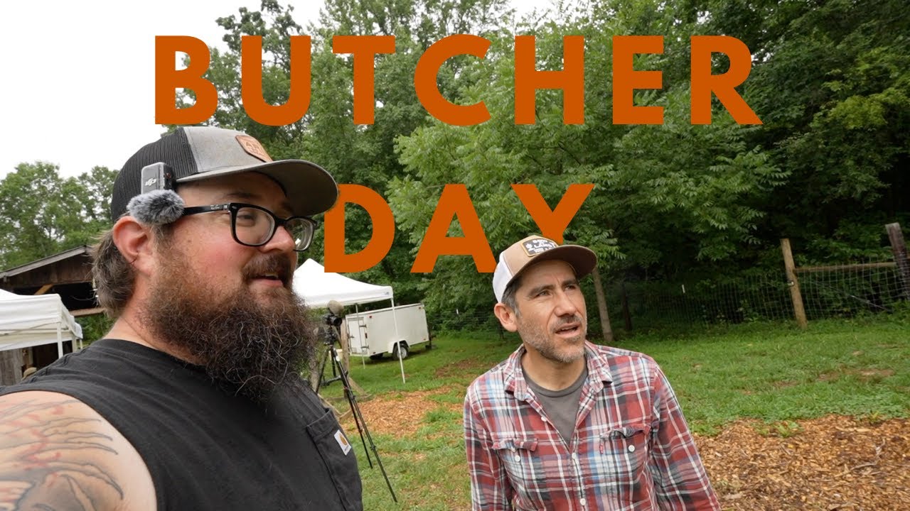 HELPING A FRIEND BUTCHER CHICKENS | DEALING WITH LOSS ON THE HOMESTEAD ...