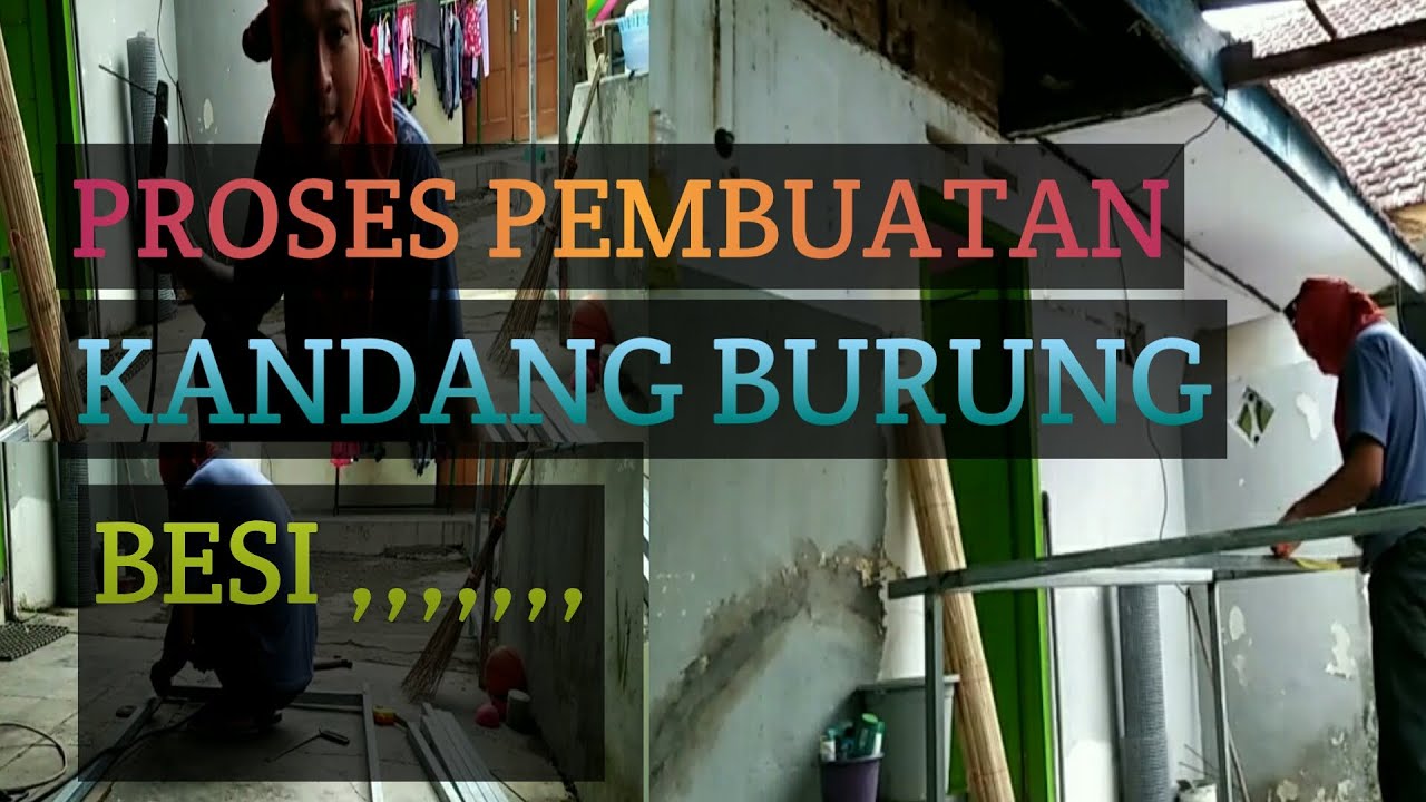  Cara  Buat  Kandang Burung Jumbo Dari Besi  bag 01 YouTube