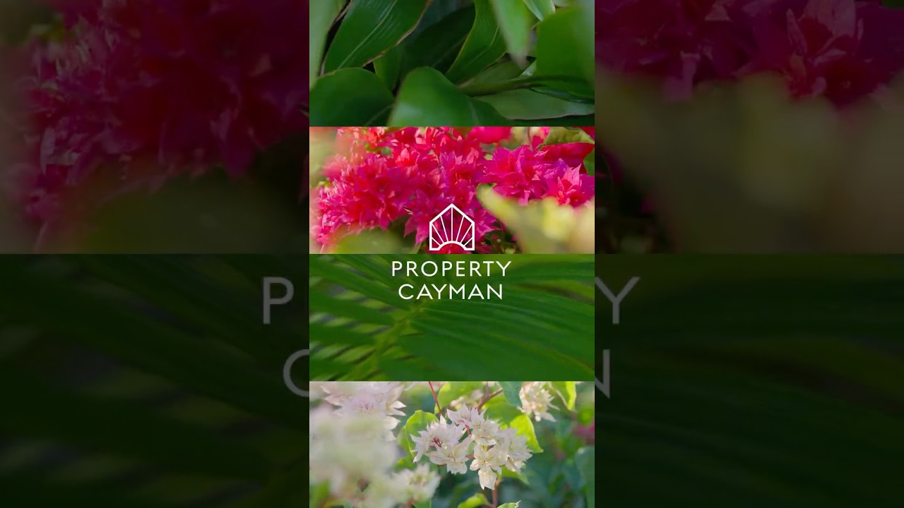 A look inside Nelson Quay 56 | Property Cayman