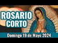 Santo Rosario Corto de Hoy. Domingo 19 de Mayo 2024 Misterios Gloriosos - Rosario