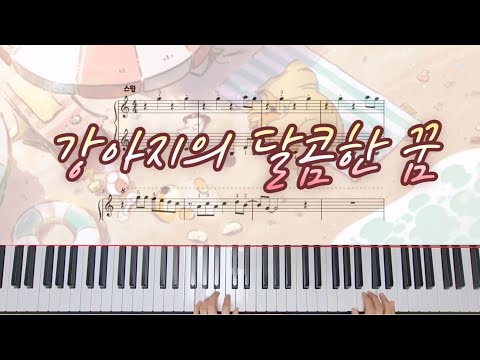 강아지의 달콤한 꿈 - 강아지의 하루
