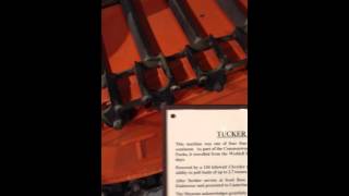 IMG 5371