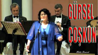 GÜRSEL COŞKUN - BENZEMEZ KİMSE SANA TAVRINA HAYRAN OLAYIM