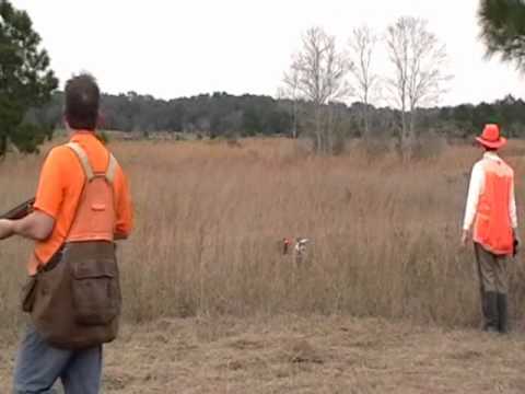 Hank & Gail quail hunting on Christmas 2009