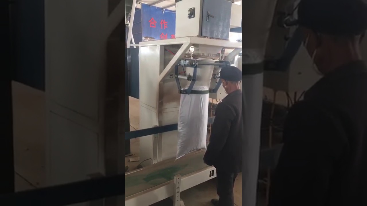 DCS-A50 wood pellet packing machine