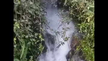 ماتيسر من سورة الجمعة