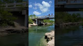 Boy does front flip from top of bridge into water then belly flops and lands on his stomach