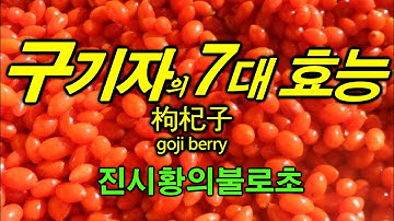 구기자  goji berry - 놀라운 효능 7가지 ~ !! 진시황과 서태후가 매일 먹었다는 그것~???