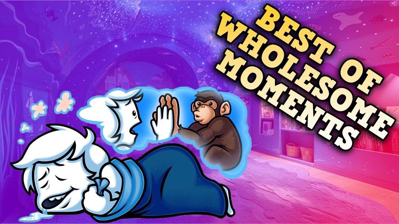 BEST OF WHOLESOME MOMENTS (Oneyplays compilation) 