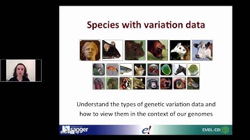 Ensembl online training 4
