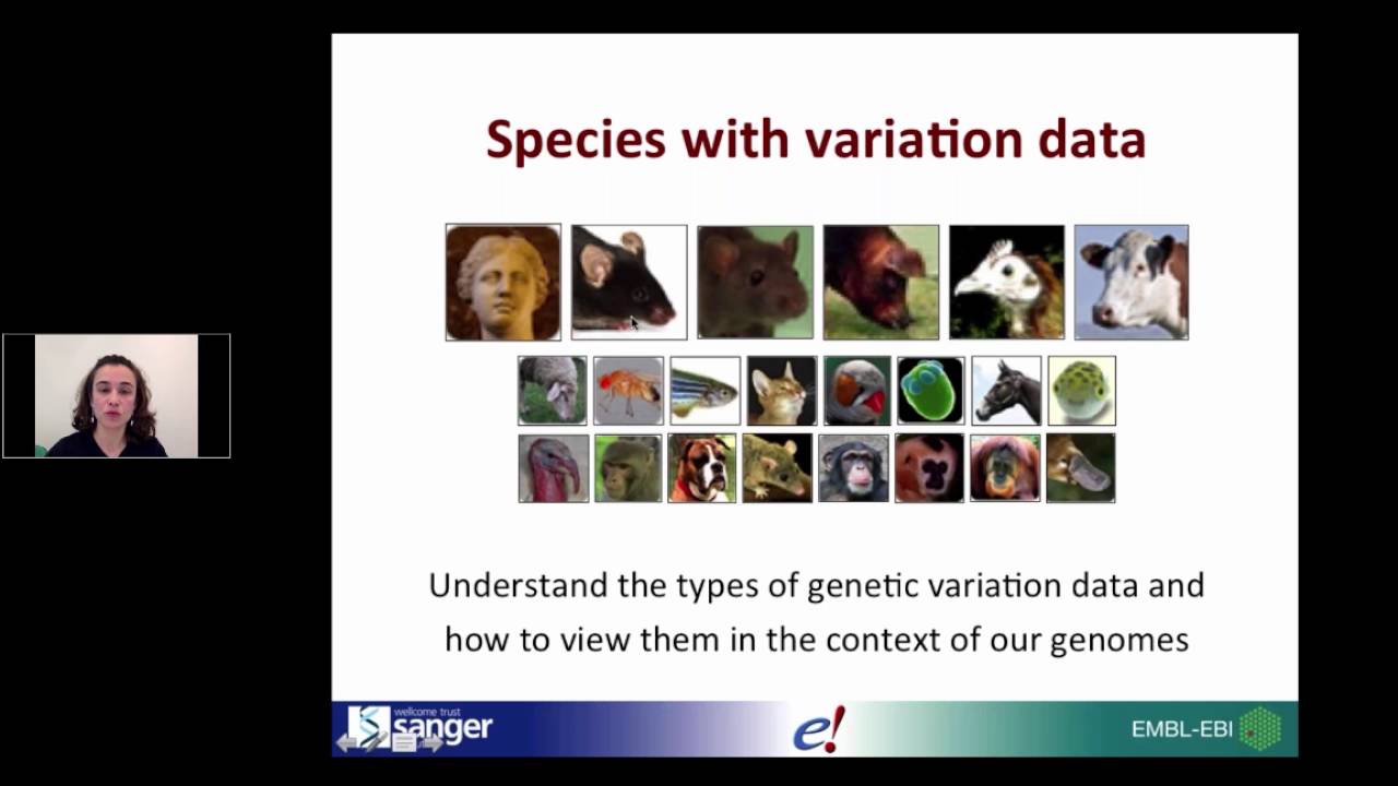 Ensembl online training 4 general hospital