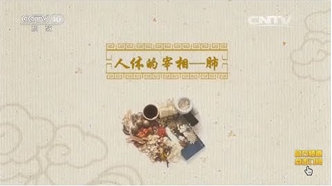 黃帝內經 13 人體的宰相——肺  【百家講壇  20160420】 - 天天要聞