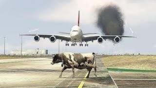 Cow Accidently Came During Airplane Landing Gta v