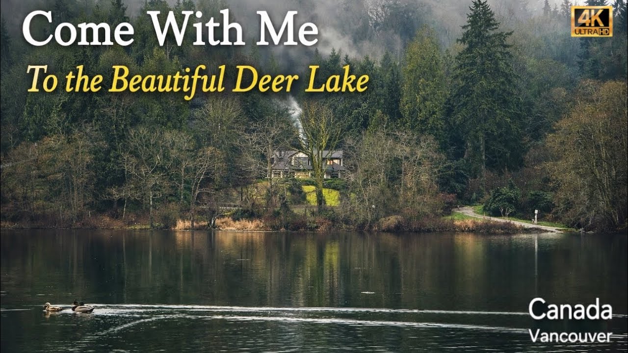 Exploring Deer Lake Park | Boardwalk Trail & Lake Views