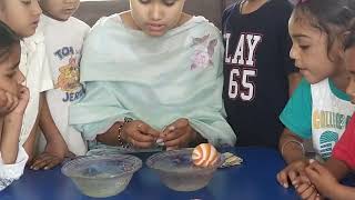 Phase 2 Activity 19