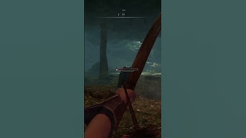 Skyrim - Strangest Kill-Cam #shorts