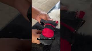 Fluffy paws + dog shoes = impossible? Not quite #dogs #doggielife #summers