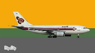 Thai Airways Flight 261 Crash + Animation