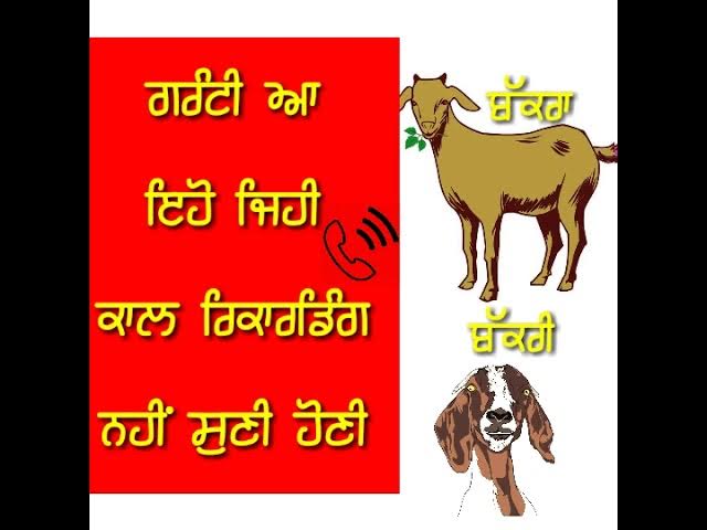 Funny Punjabi Prank Call || Amritsar Now - YouTube