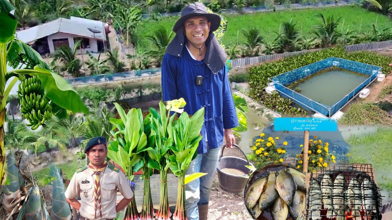 ลาออกจากครู!!มาทำไร่นาสวนผสมสวยๆ..สร้างหลุมหลบภัยเป็นนายตัวเอง