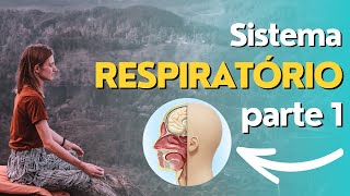 01 de 02 - Sistema Respiratório: Nariz, cavidade nasal e faringe