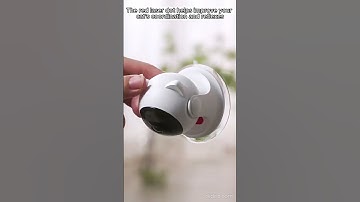 Keep Your Cat Entertained with the Automatic Cat Toy | Exciting Playtime Guaranteed