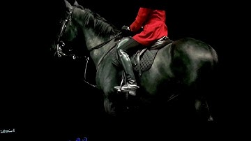 JVC X550RB after self calibration