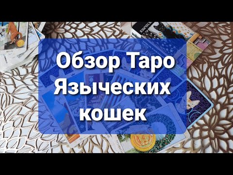 Обзор Таро Языческих кошек. На чём я работаю.