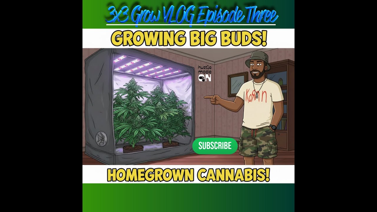 3X3 Grow Tent Ep:3 RUNTZ 