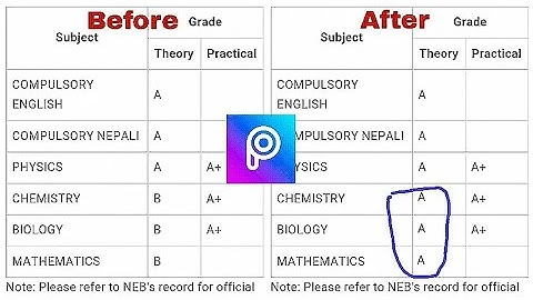 NEB Result changing manipulation from Picsart