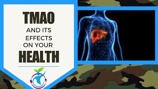 TMAO and Its Effect on Your Health
