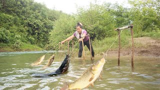 How To Make Bait For Big Fish Hooks - Pull The Hook Net To Catch Many Fish In The Stream.