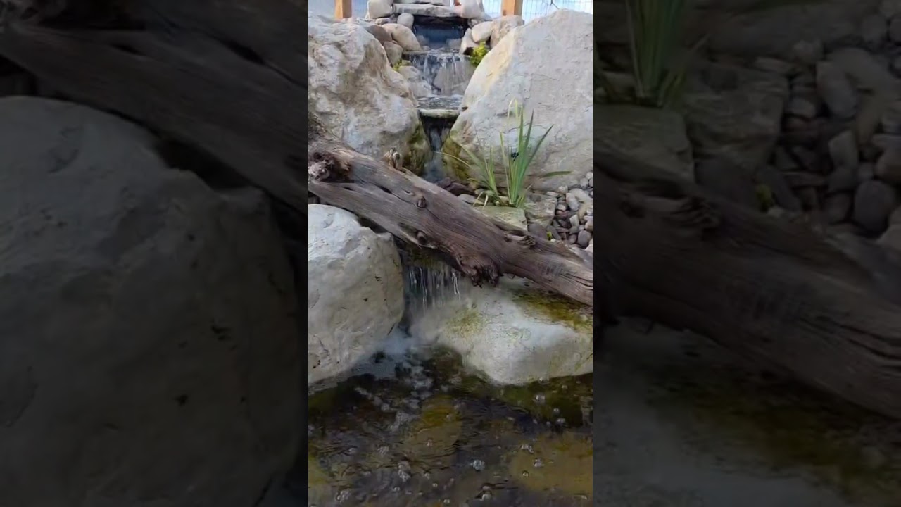 Sun up or stars out, your water feature’s got the vibe. 🌊✨ 