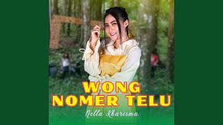 Download lagu Wong Nomer Telu