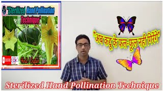 #sterilize hand pollination technique in pumpkin 2023 for class6-12 demonstration& fruit-flower drop