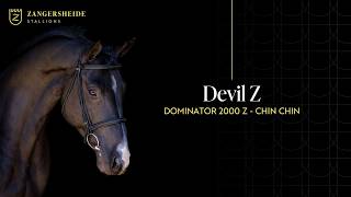 Devil 2000 Z-Zangersheide Stallion Presentation 2026 ( ENG )