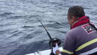 パヤオでマグロ釣り｜宮古島 栄真丸